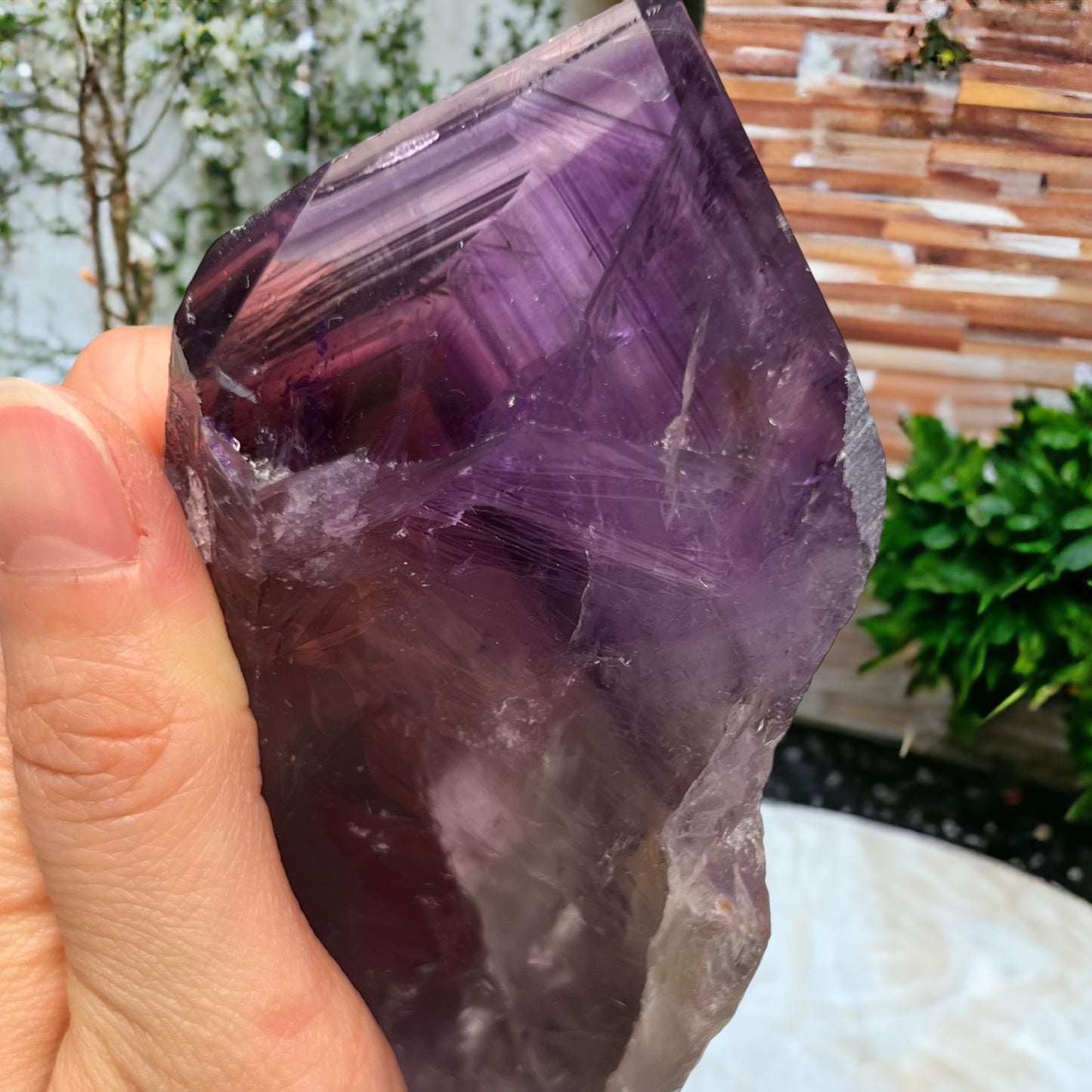 巴伊亞紫水晶齒狀晶體,帶有四面體終止點(大)
