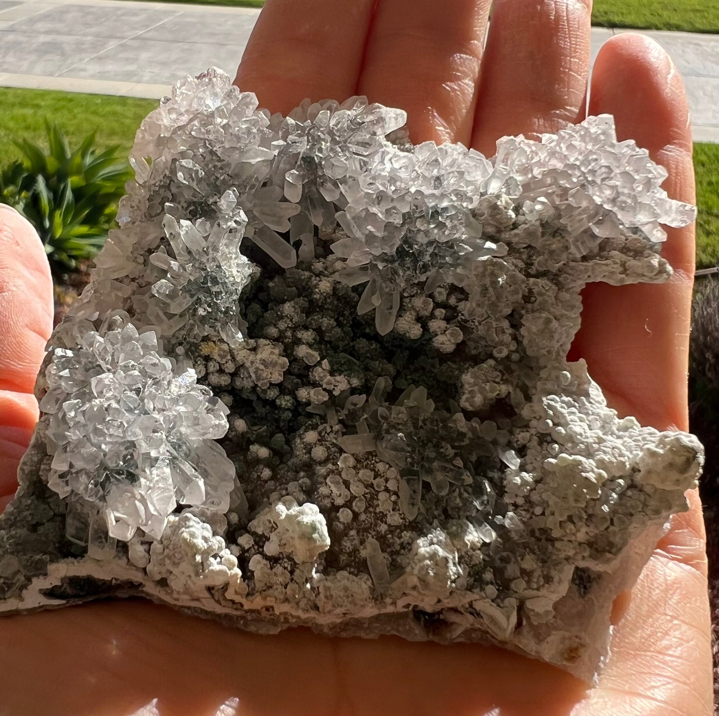 紫水晶花盤水晶(S)