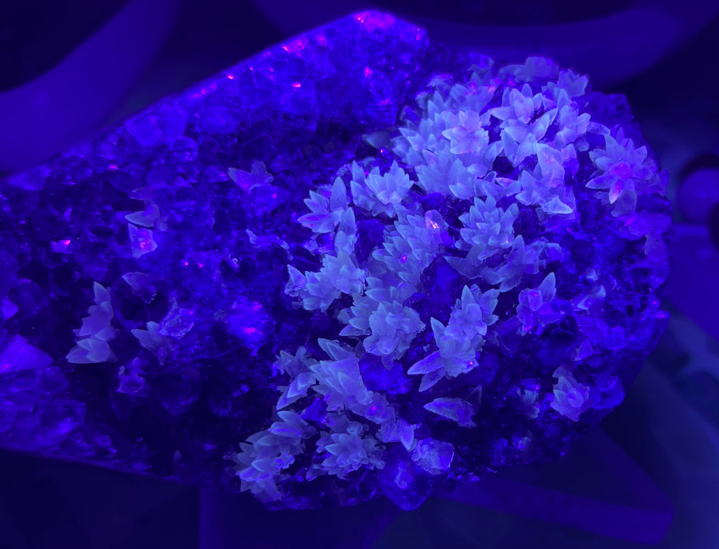 紫水晶簇(大)