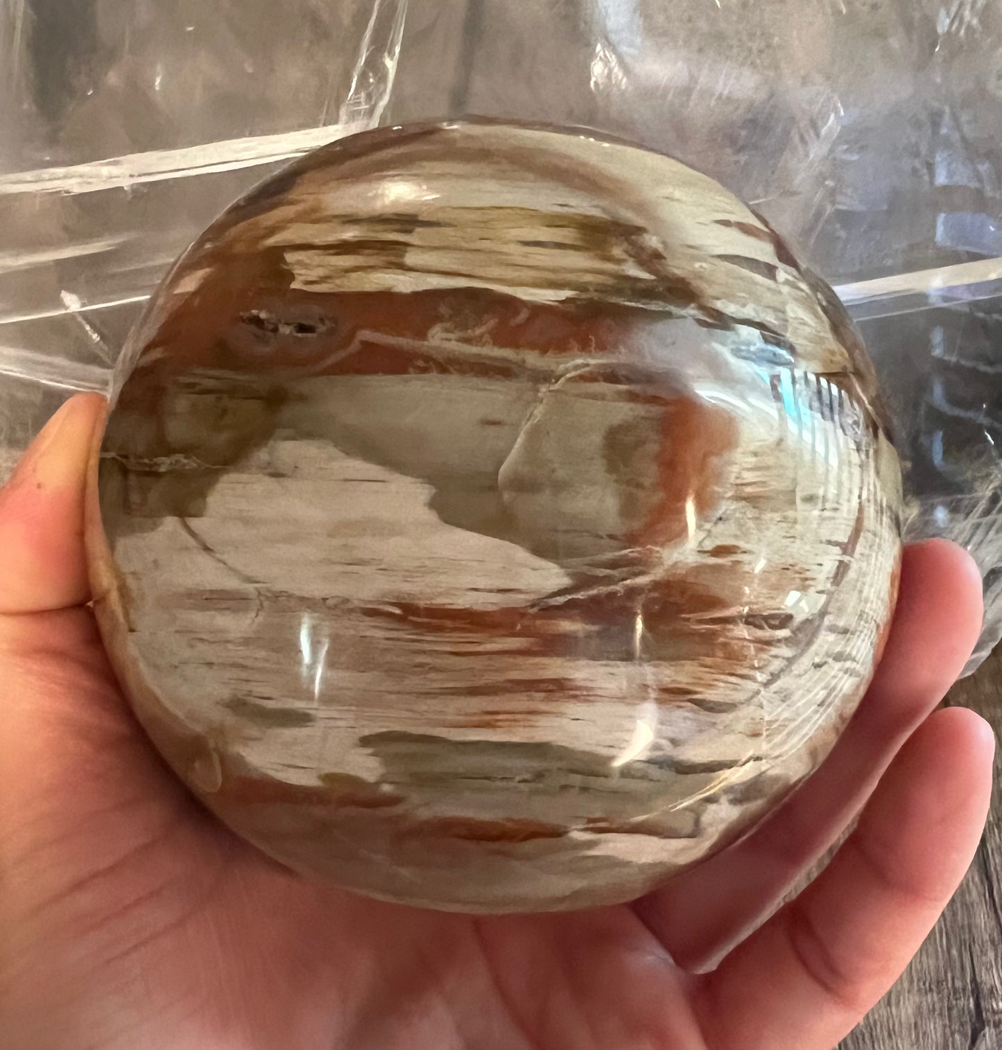 木化石水晶球(大)