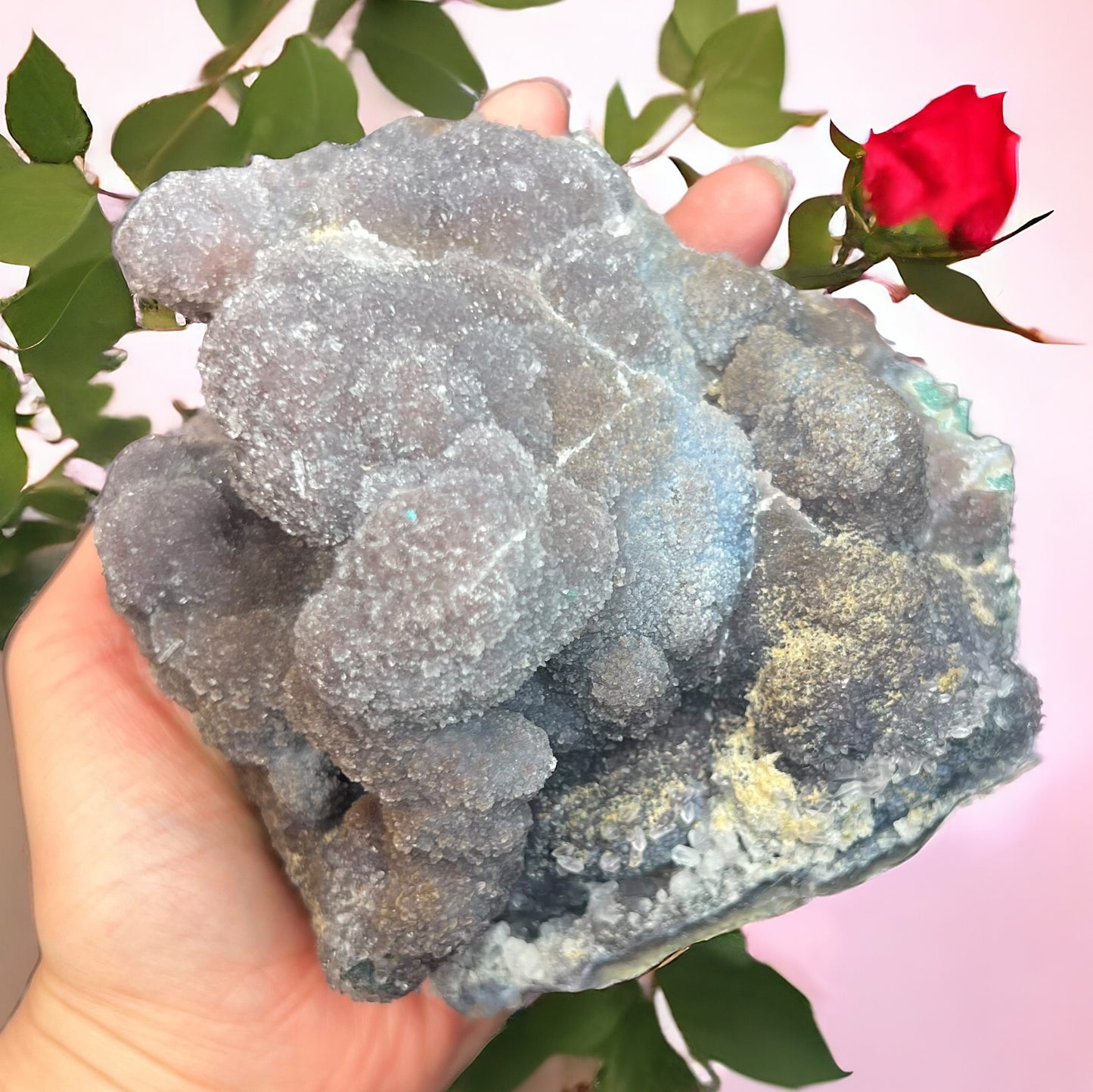 紫水晶花盤水晶,帶有令人驚嘆的大型鐘乳石生長(大號)