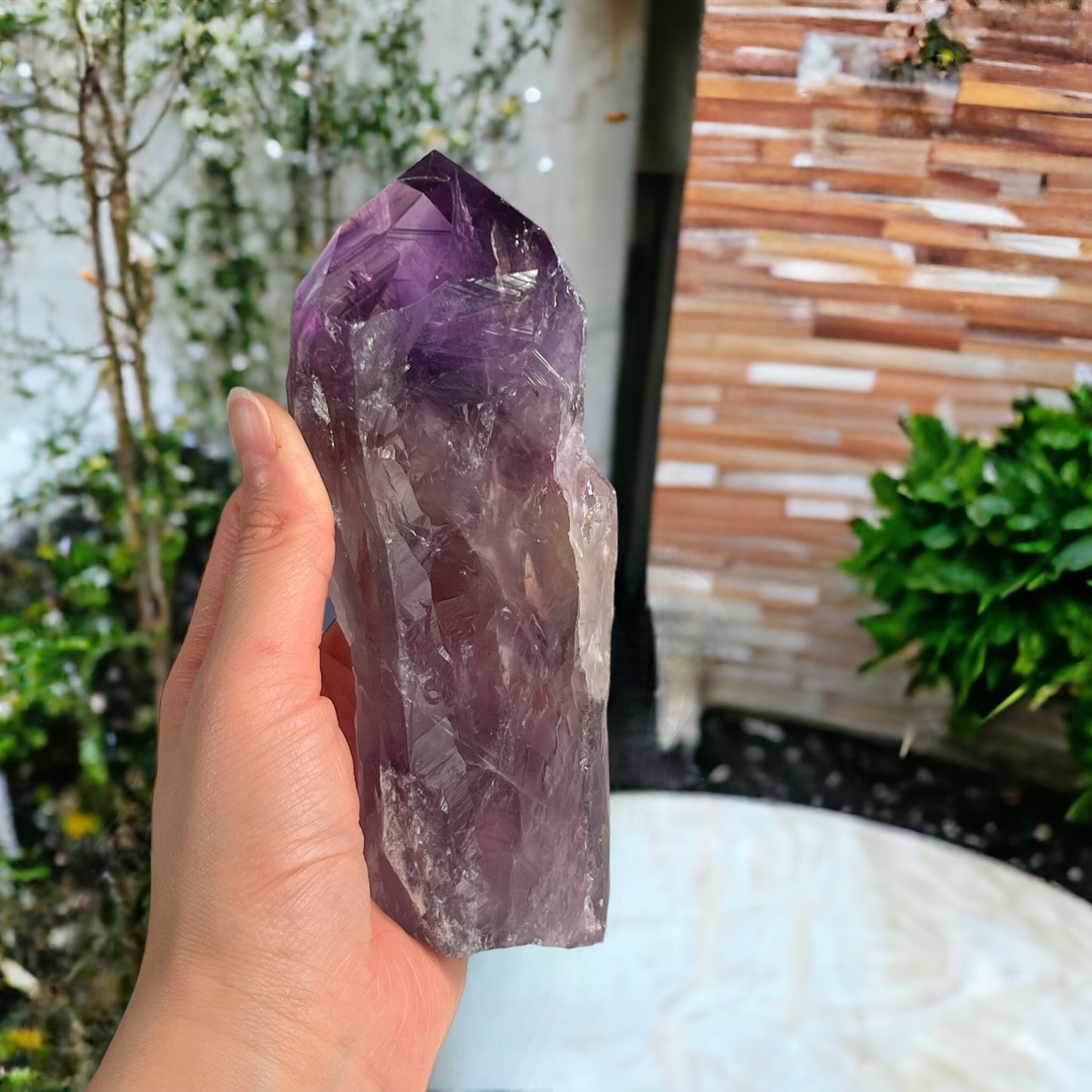 巴伊亞紫水晶齒狀晶體,帶有四面體終止點(大)