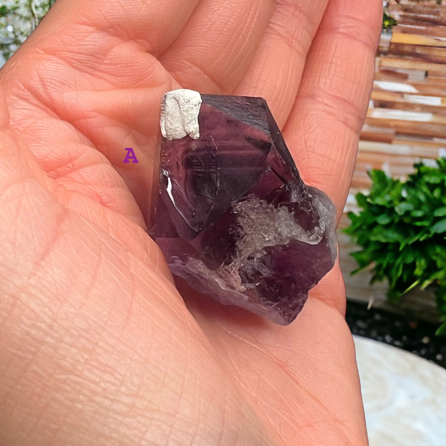 Bahia Amethyst Tooth Crystal with Tetrahedron Termination (S)