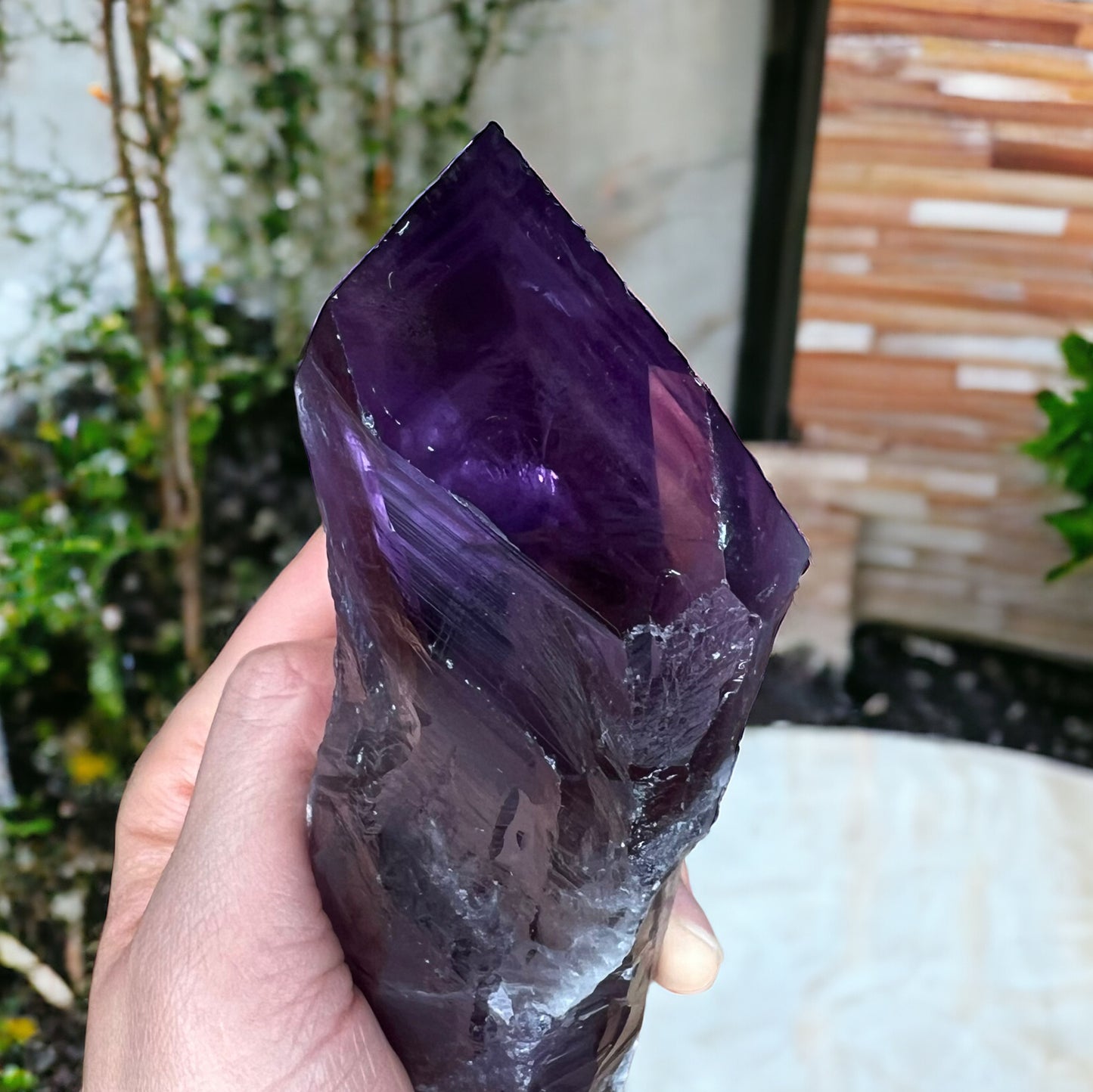 巴伊亞紫水晶齒狀晶體,帶有四面體終止點(大)