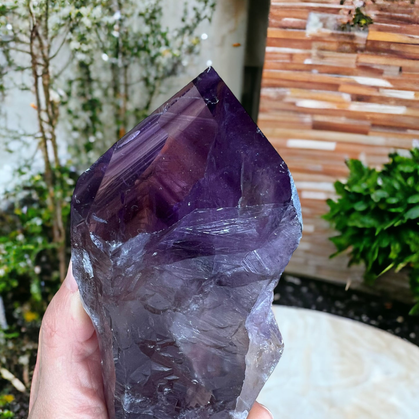 巴伊亞紫水晶齒狀晶體,帶有四面體終止點(大)