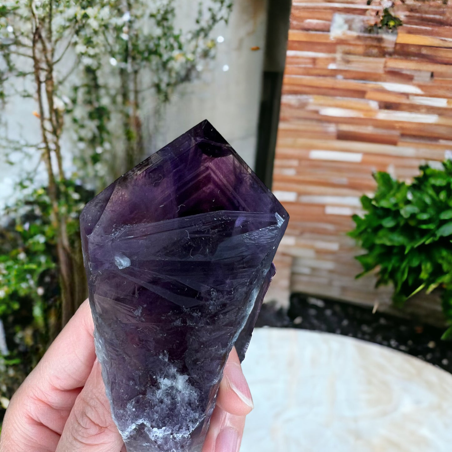 巴伊亞紫水晶齒狀晶體,帶有四面體終止點(大)