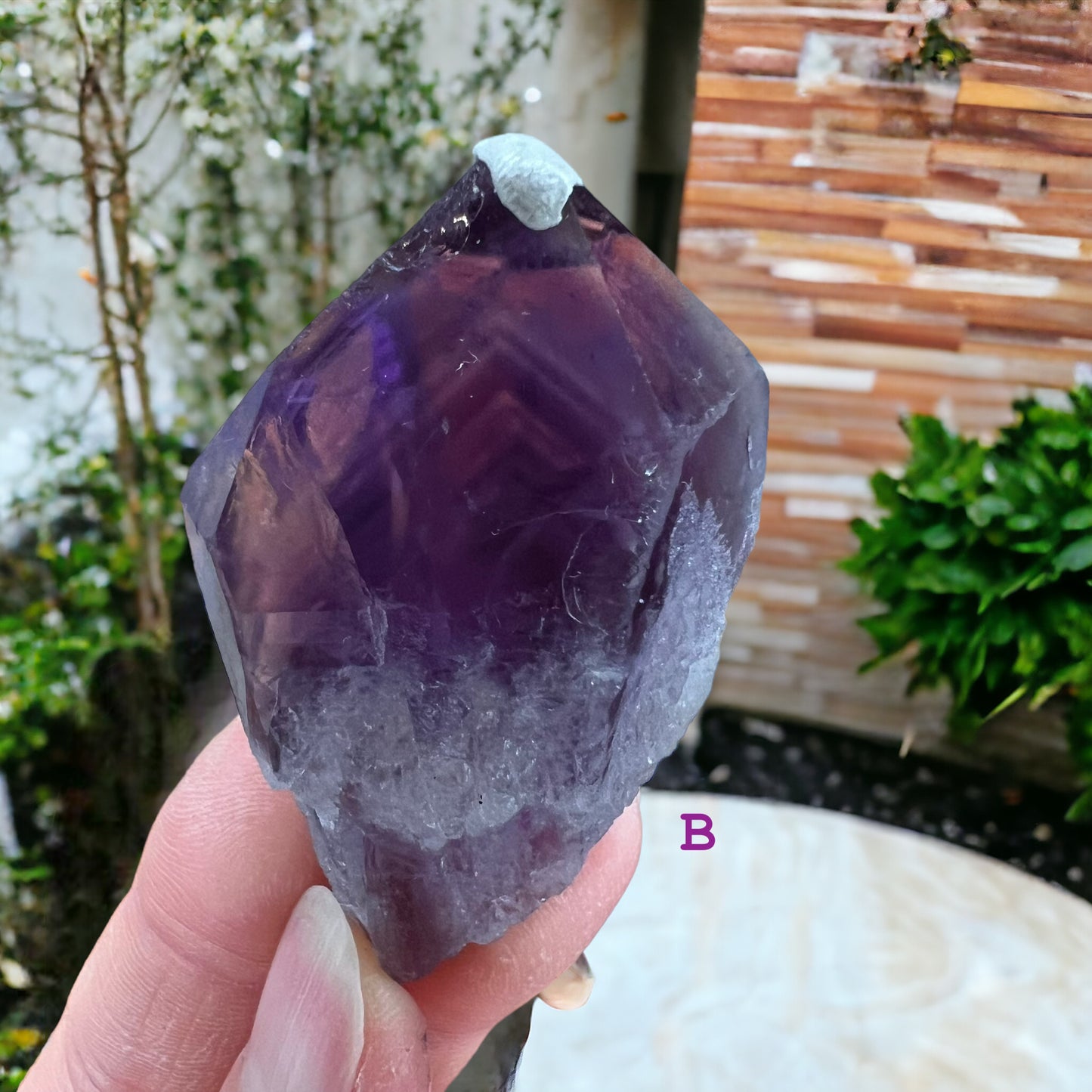 Bahia Amethyst Tooth Crystal with Tetrahedron Termination (S)