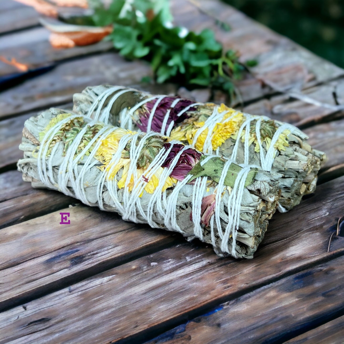 用於塗抹的白鼠尾草束品種