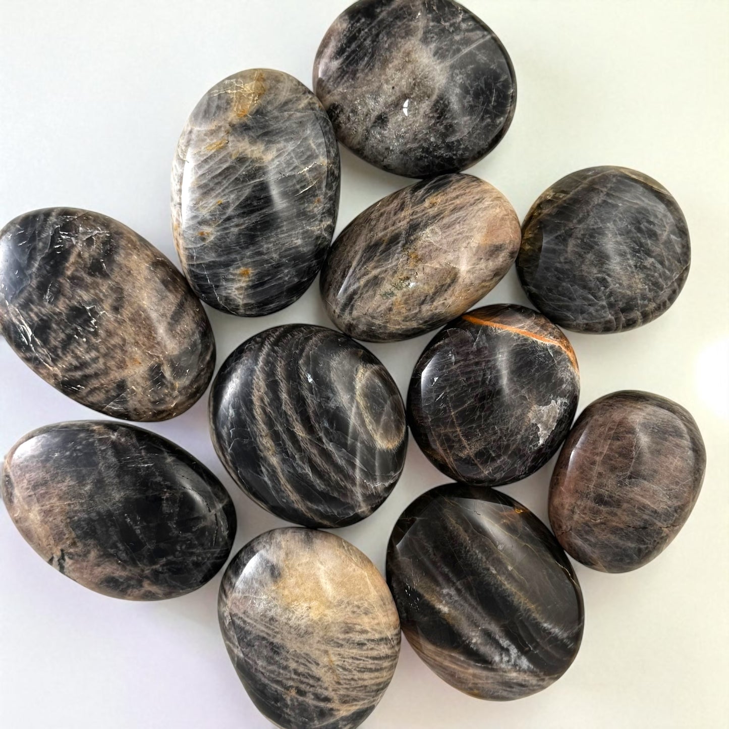 Black Moonstone Crystal Palm Stones