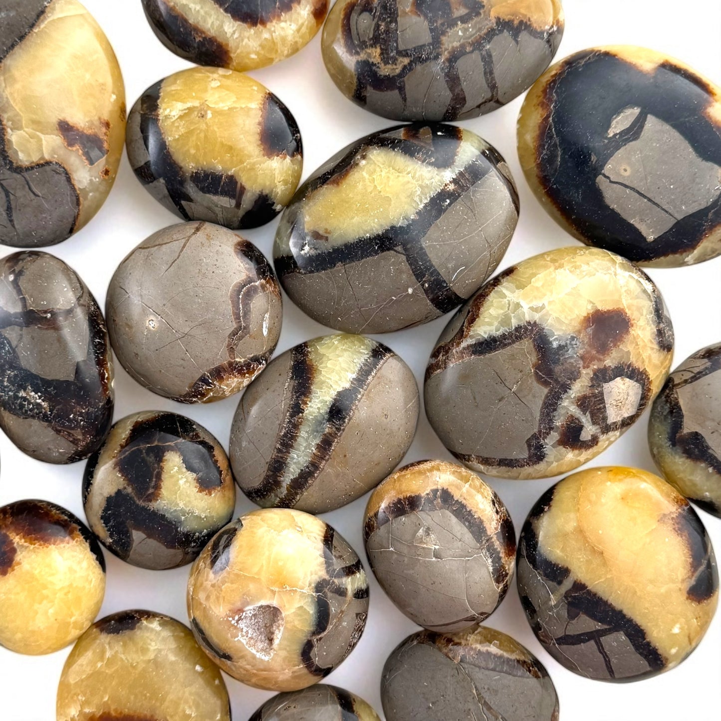 Septarian Crystal Palm Stones