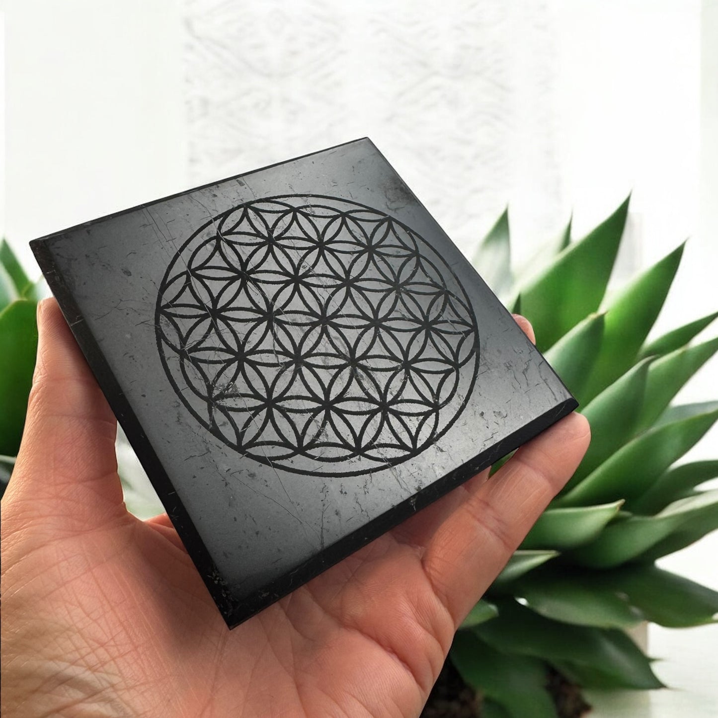 生命之花精英 Shungite 水晶方盤