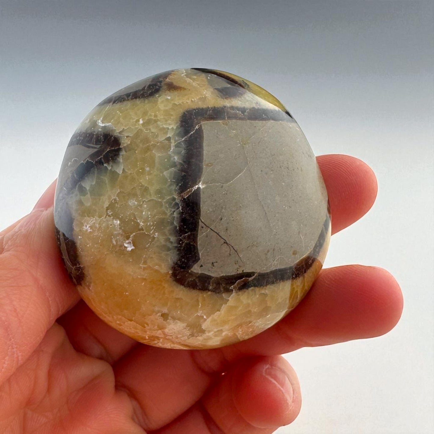 Septarian Crystal Palm Stones