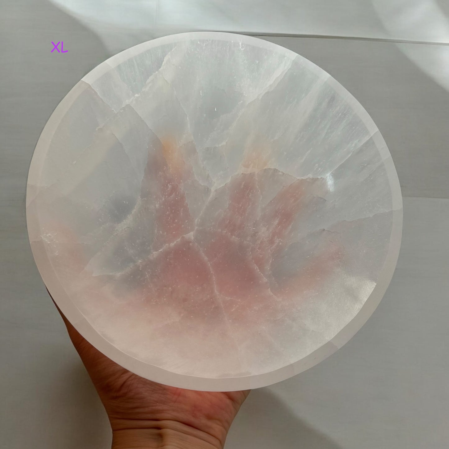 透石膏碗 圓形(中)