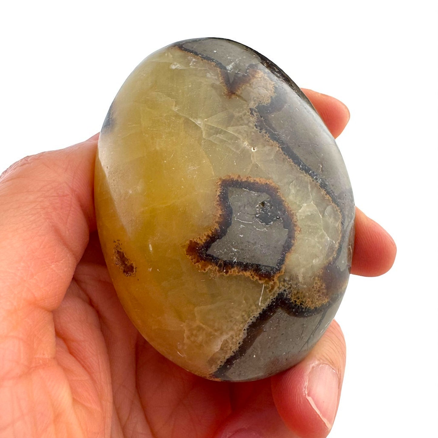 Septarian Crystal Palm Stones