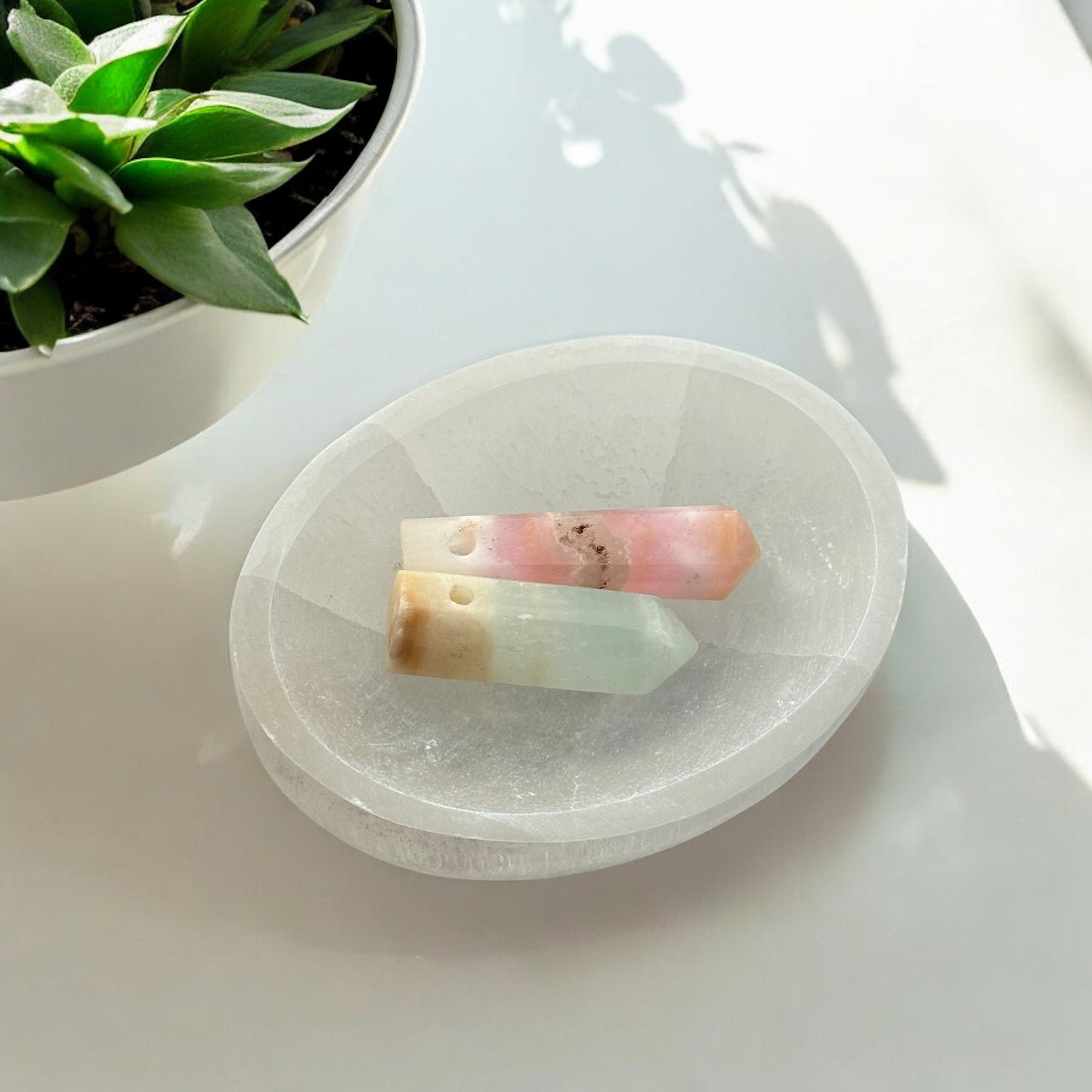 透石膏碗 圓形(中)