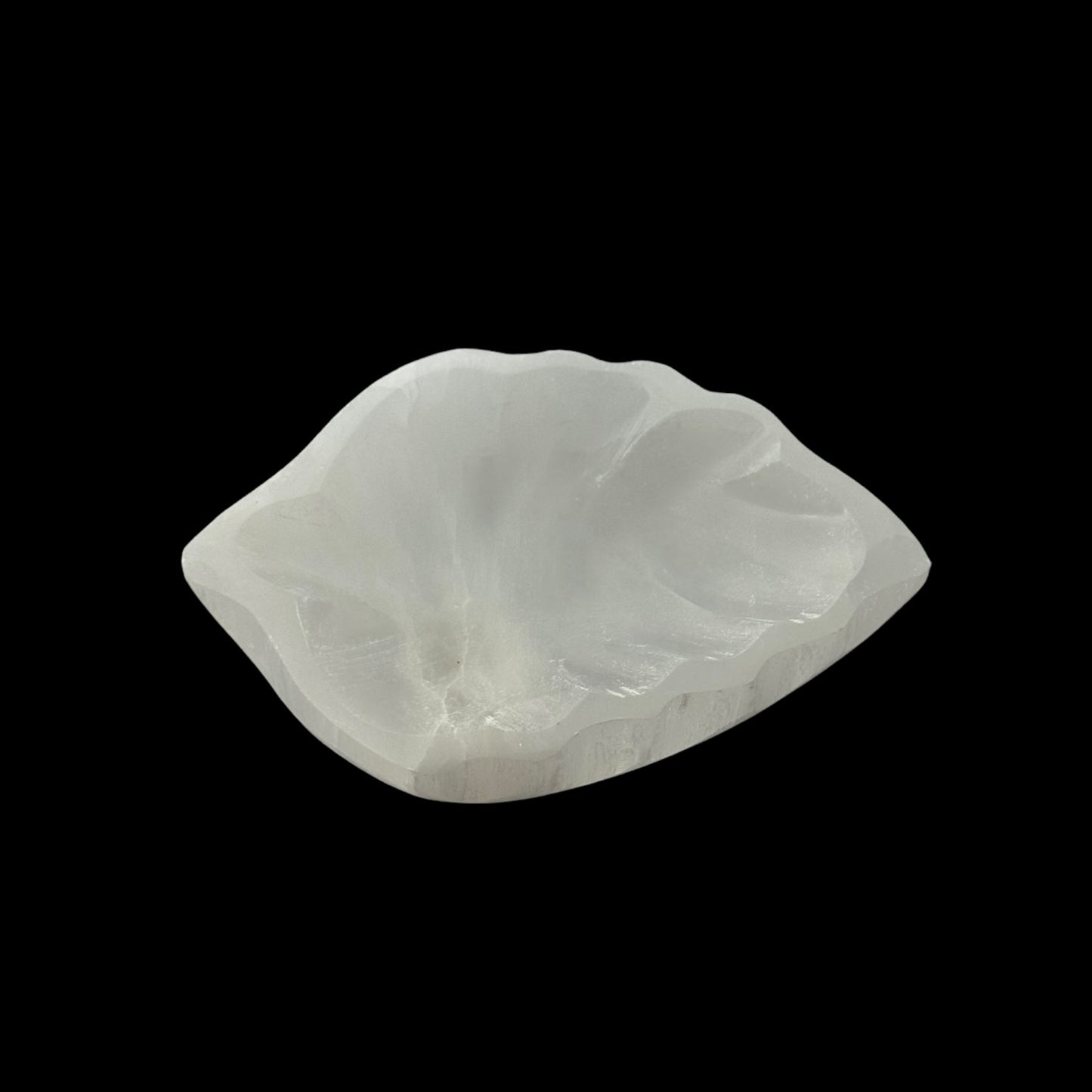 透石膏碗 圓形(中)