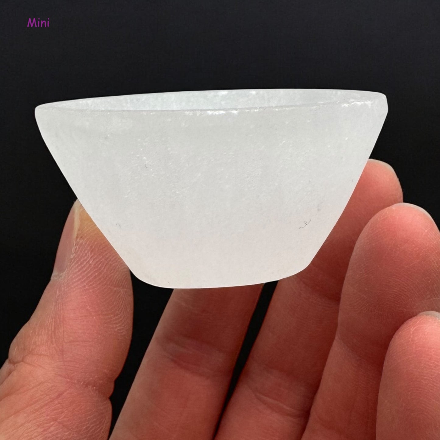 透石膏碗 圓形(中)
