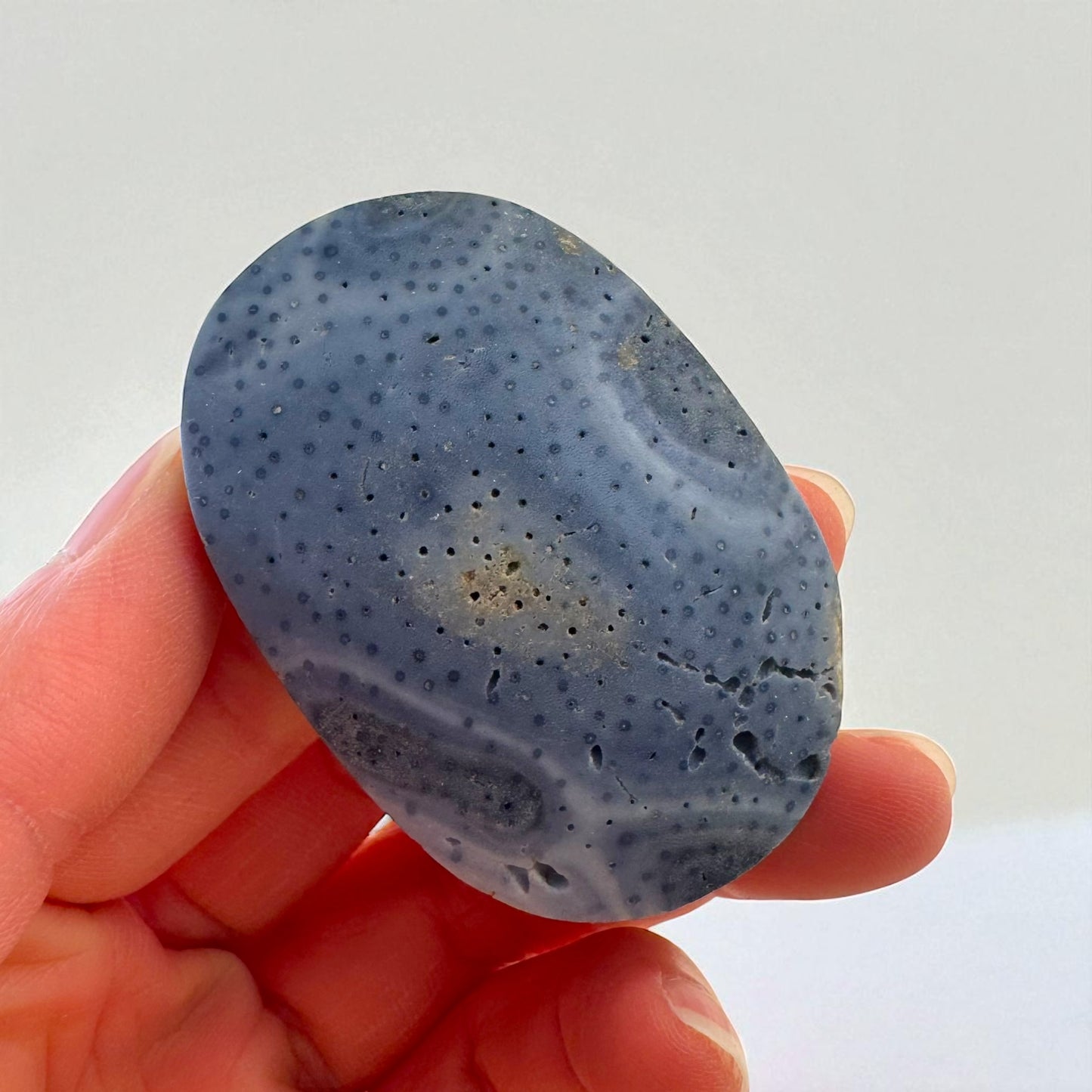 印尼藍珊瑚水晶掌石