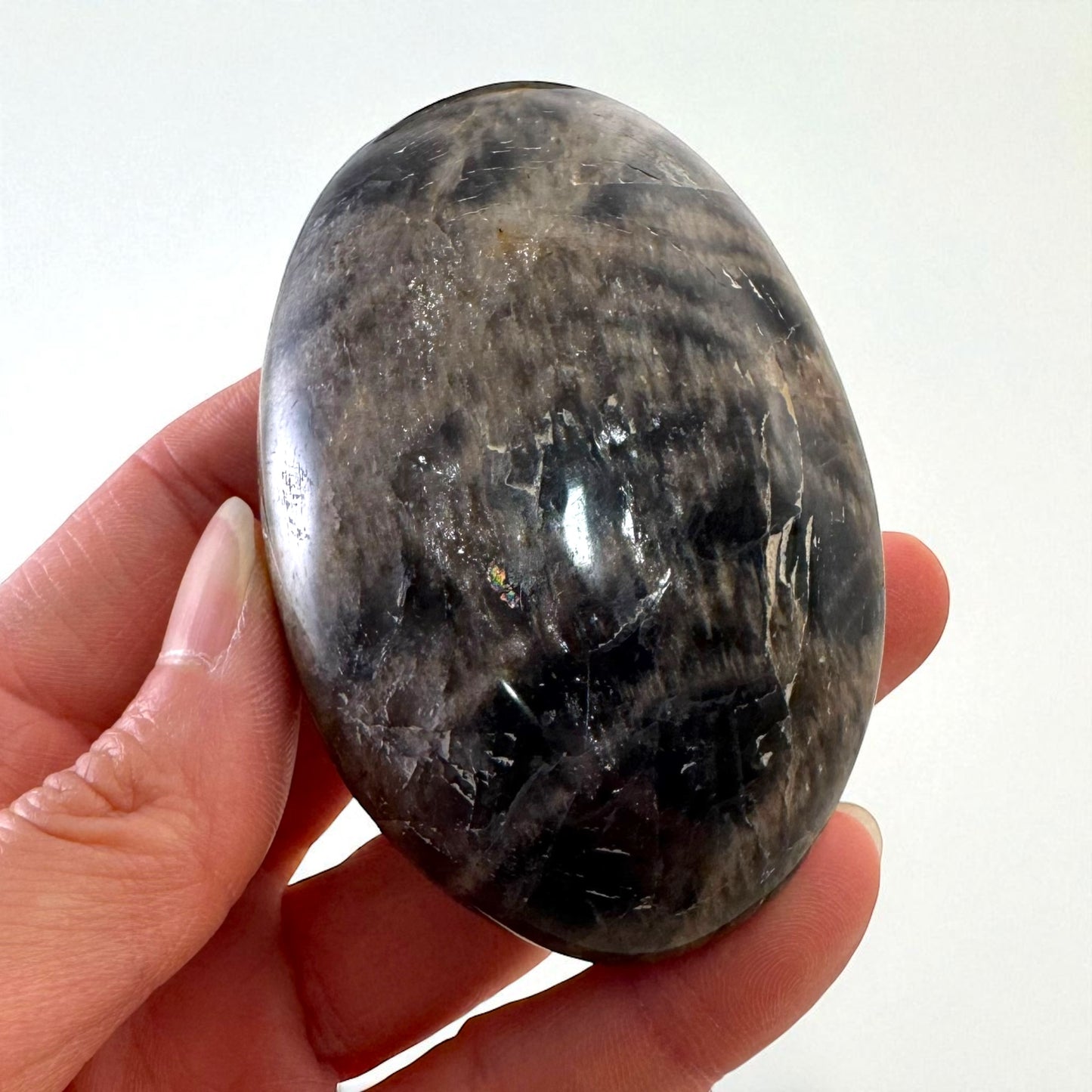Black Moonstone Crystal Palm Stones