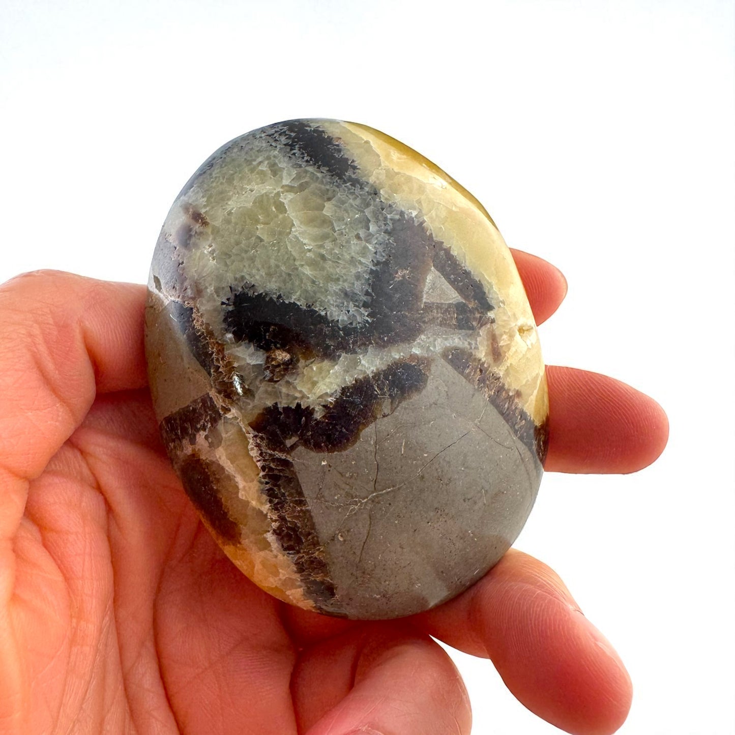 Septarian Crystal Palm Stones