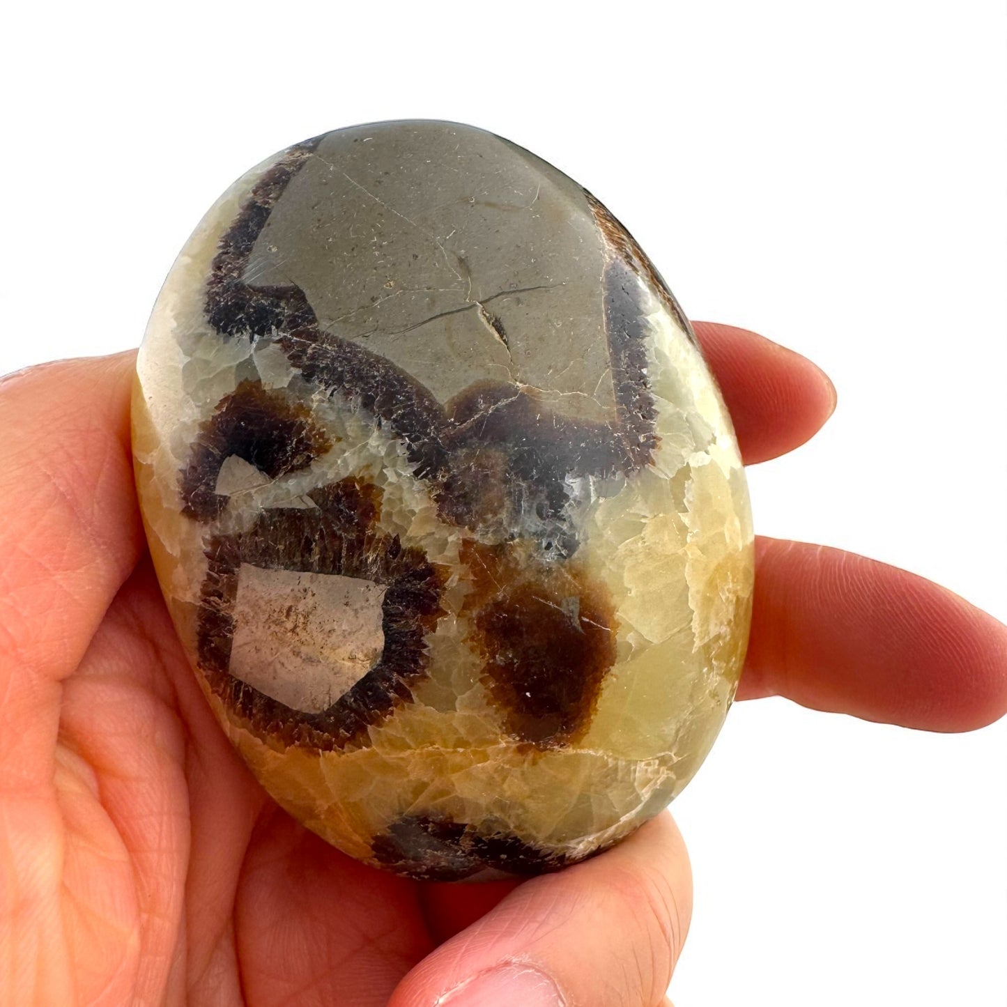 Septarian Crystal Palm Stones