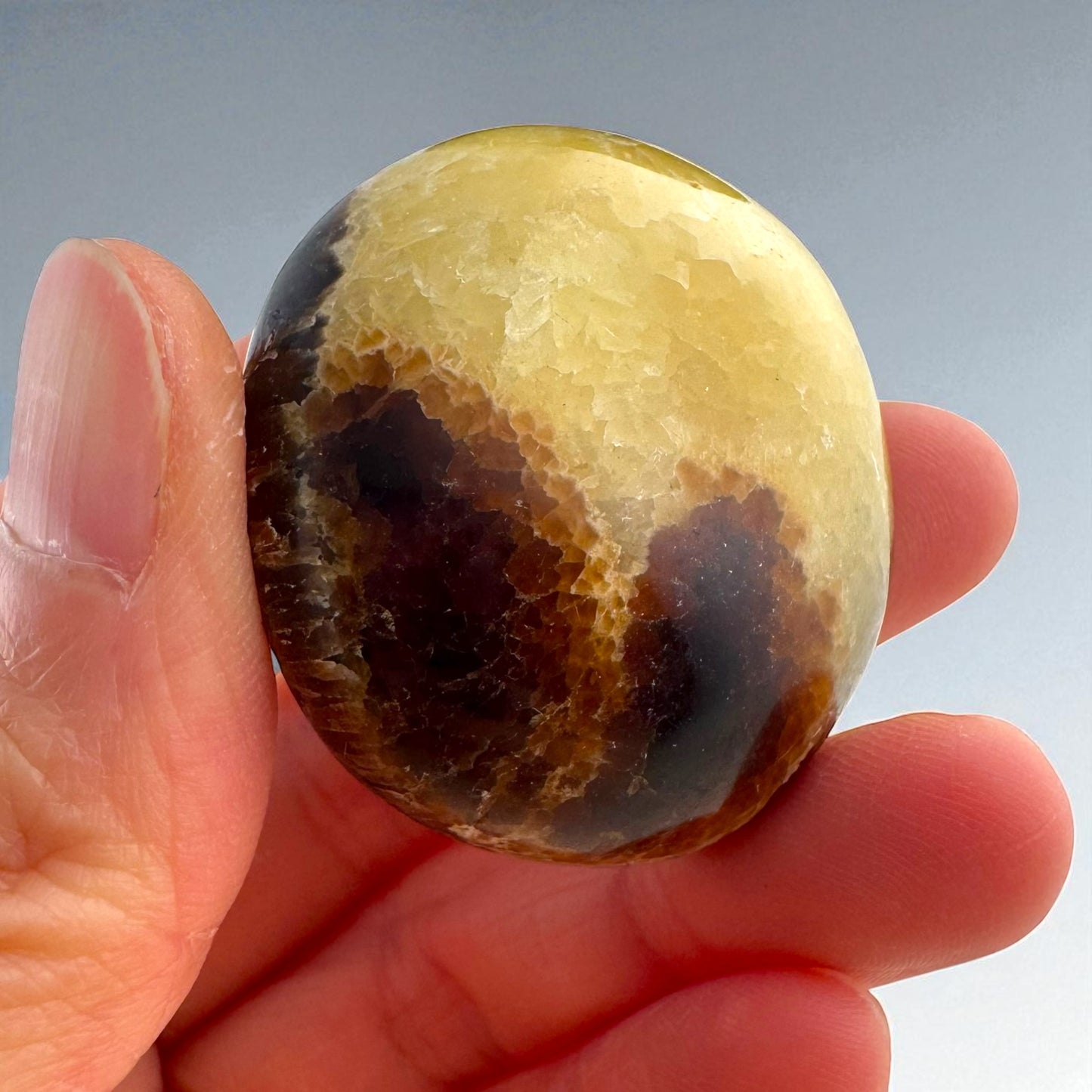 Septarian Crystal Palm Stones