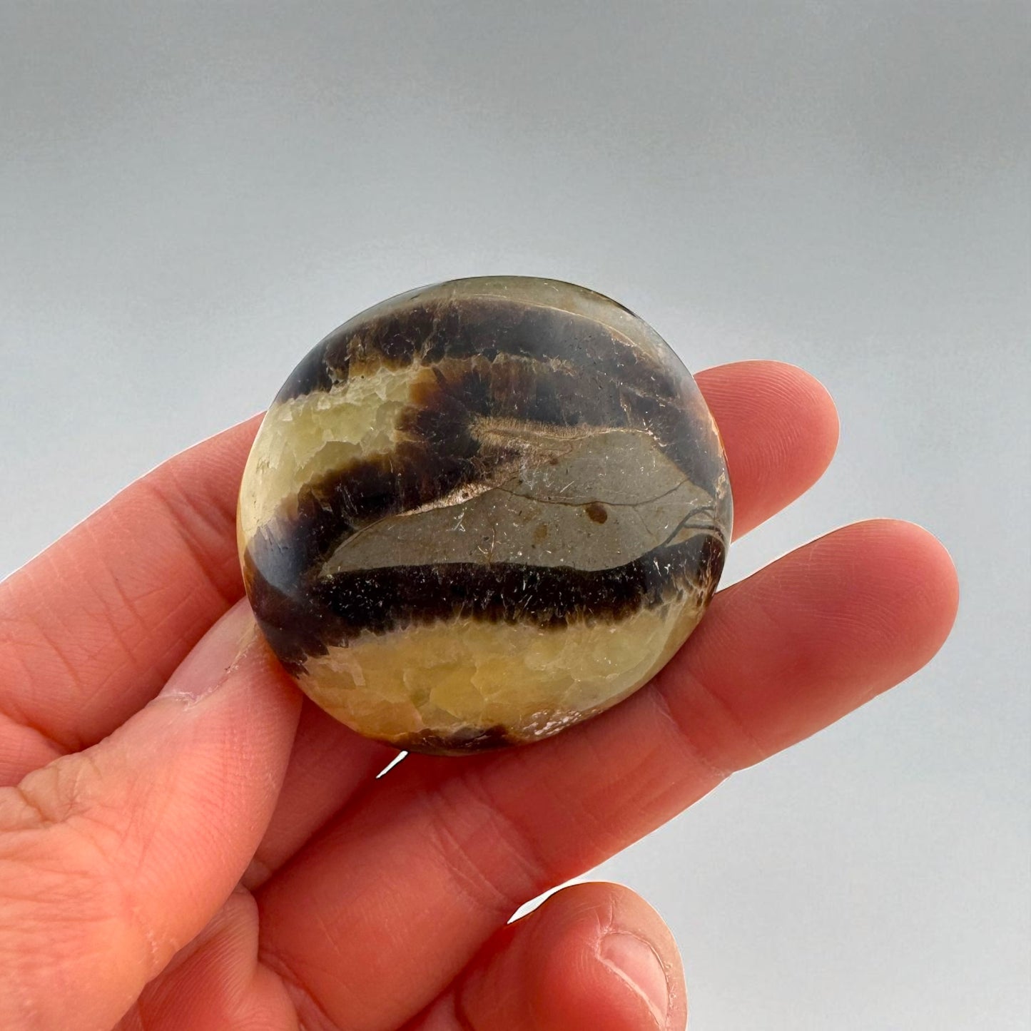 Septarian Crystal Palm Stones