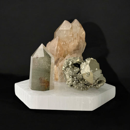 Wealth & Wisdom Gift Set (M)