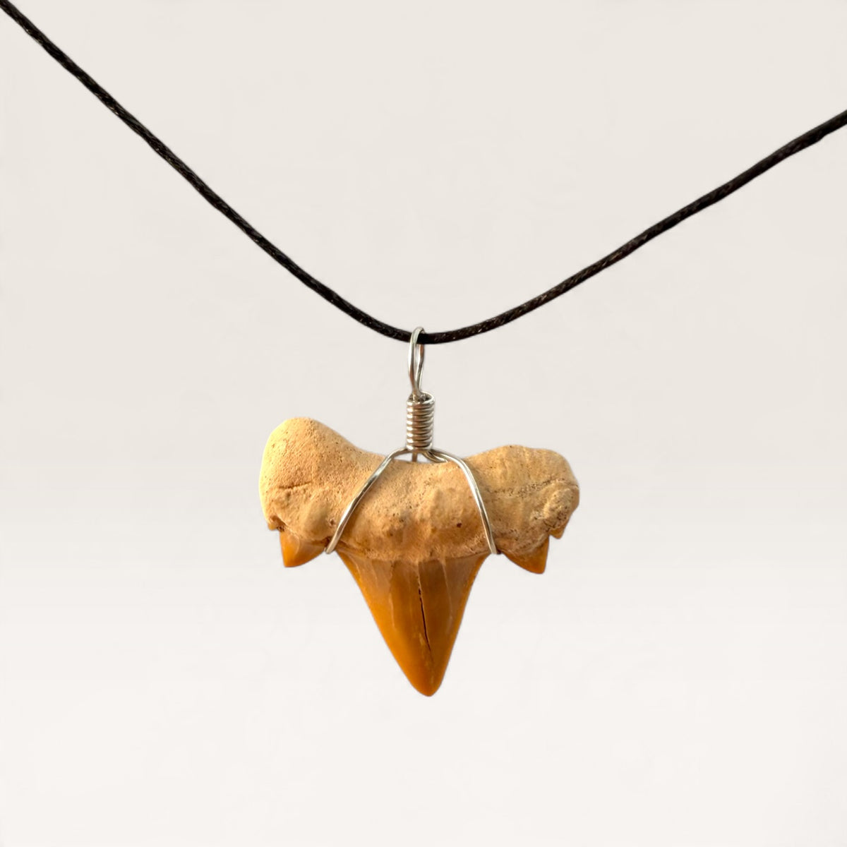 Fossil Shark Tooth Wire-Wrapped Pendant