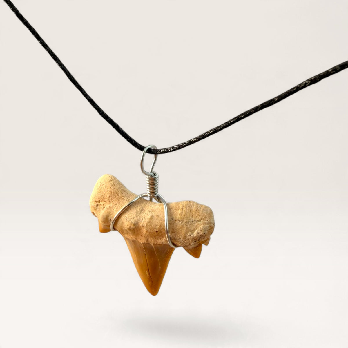 Fossil Shark Tooth Wire-Wrapped Pendant