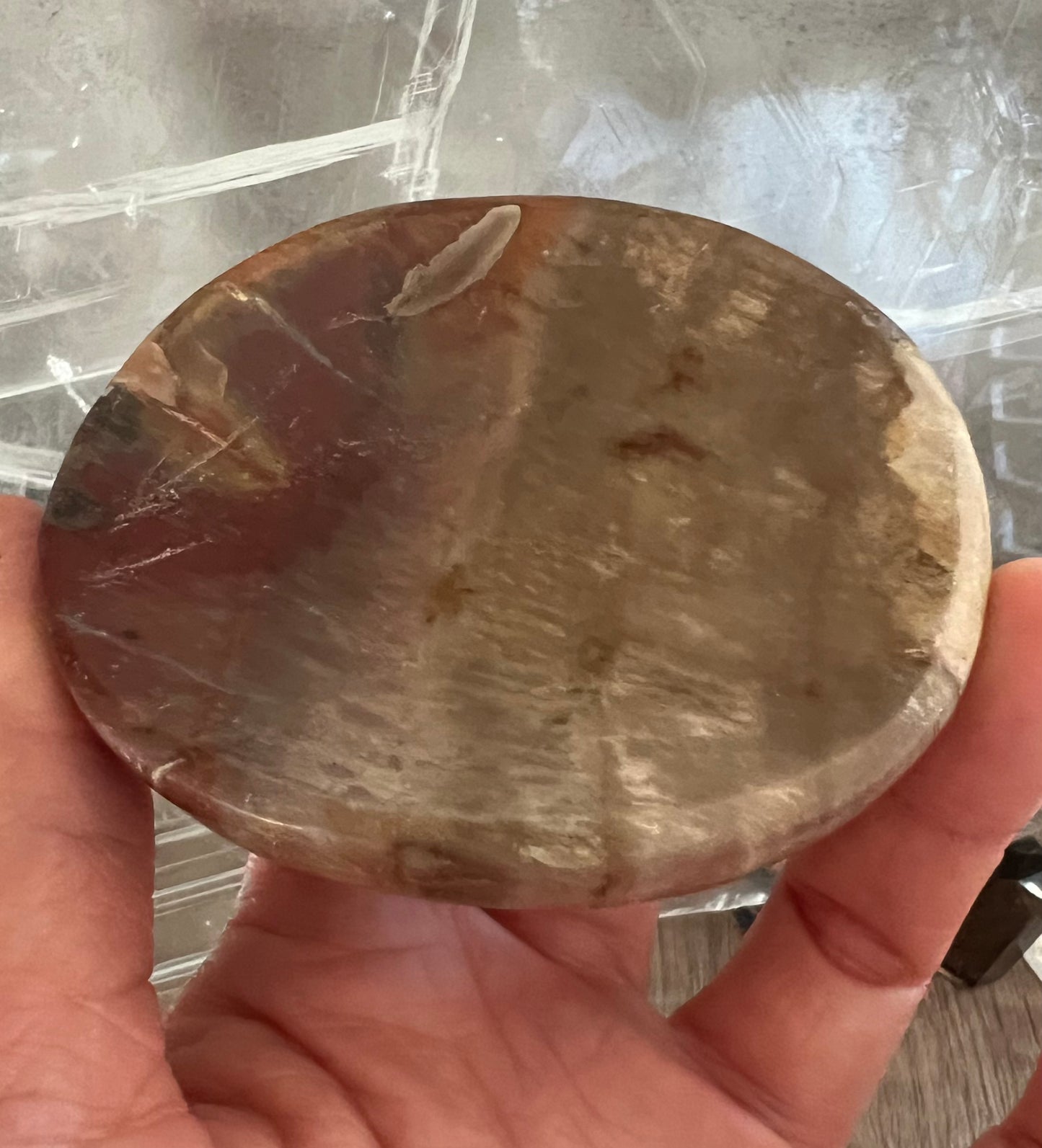 Petrified Wood Dish (S)