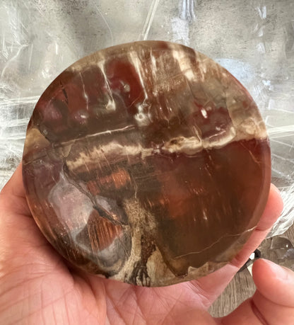 Petrified Wood Crystal Dish (S)