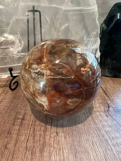 Petrified Wood Crystal Sphere (L)