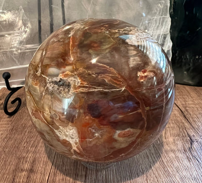 Petrified Wood Crystal Sphere (L)