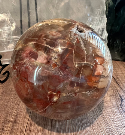 Petrified Wood Crystal Sphere (L)