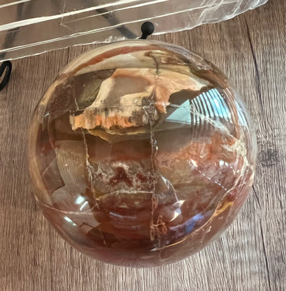 Petrified Wood Crystal Sphere (L)