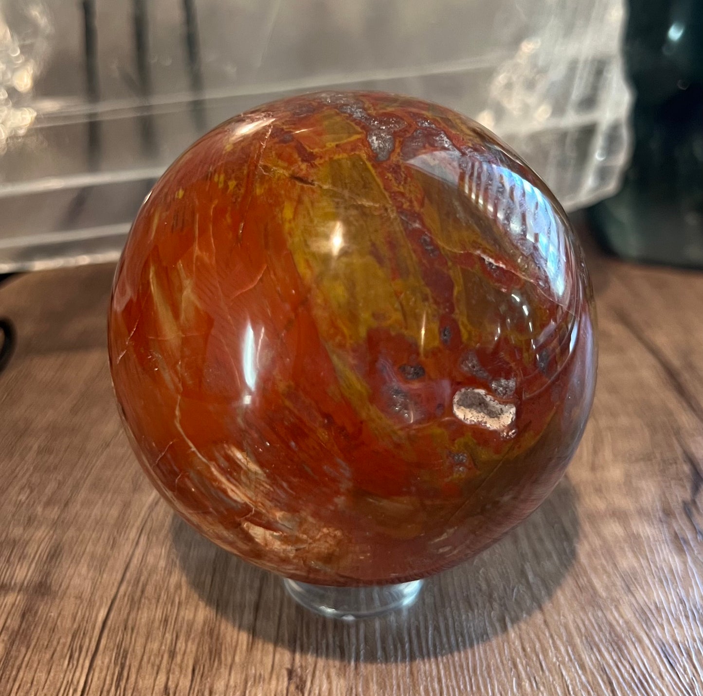 Petrified Wood Sphere (M)