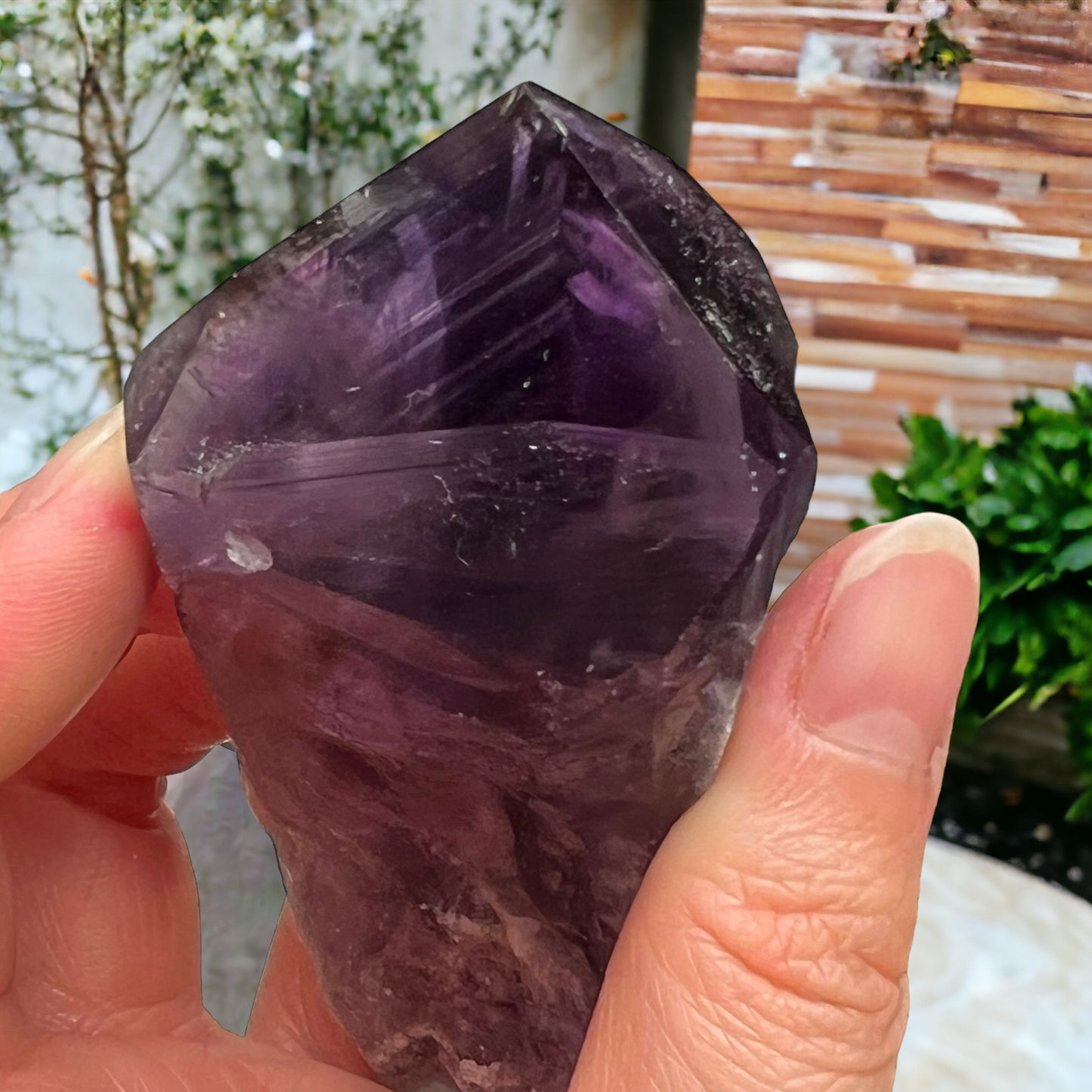 Bahia Amethyst Tooth with Tetrahedron Termination (L)