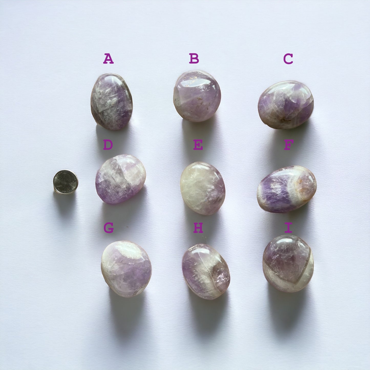 紫水晶棕櫚石 (M) 第 2 批