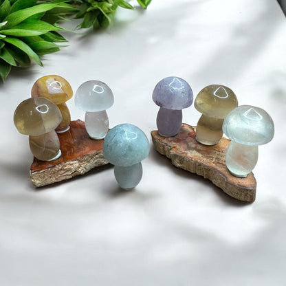 Candy Fluorite Crystal Mushroom