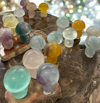 Candy Fluorite Crystal Mushroom