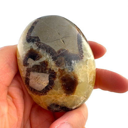 Septarian Crystal Palm Stones